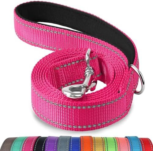 Joytale Reflective Dog Leash for Medium & Large Dogs, 4 FT x 1", Hotpink