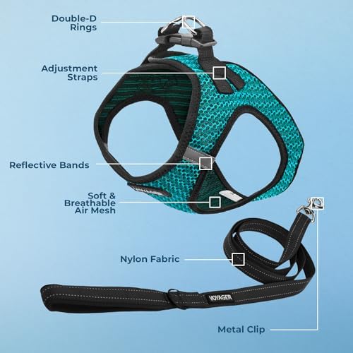 Best Pet Supplies Voyager Step-in Air All Weather Mesh Harness and Reflective Dog 5ft Leash Combo with Neoprene Handle, for Small, Medium and Large Breed Puppies - Turquoise 2-Tone, Large
