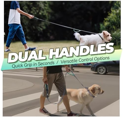 VIVAGLORY Double Handle Dog Leash Twingrip, 6ft x 1in, Grey