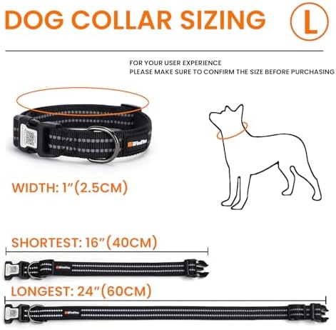 Personalized Dog Collar with QR Code Dog Tag, Black L