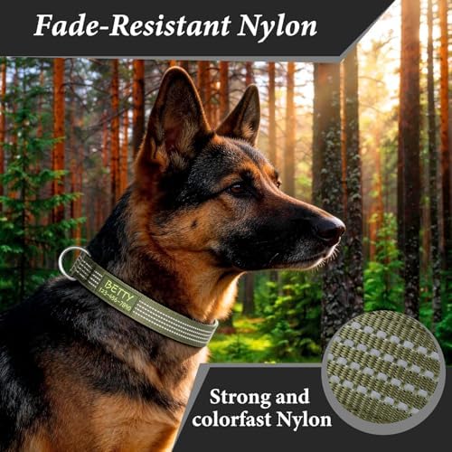 Personalized Dog Collars with Name & Phone Number, Neoprene Padded