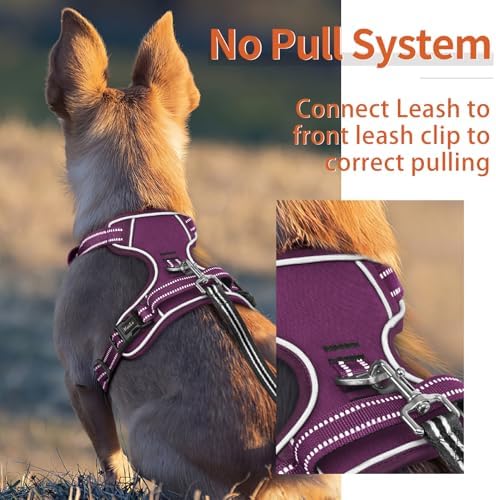 HEELE Dog Harness for Large Dogs No Pull Dog Vest Harness for Large Dog with Soft Padded Handle Reflective for Outdoor Training, Purple(Matching Trim), XL