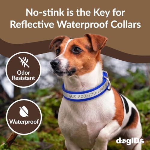 dogIDs Personalized Reflective Waterproof Dog Collar - Custom, Durable, Adjustable, Odor Resistant, Safe, Engraved - Blue, 1 in x 14 in (Fits Neck Sizes: 12-16 in)