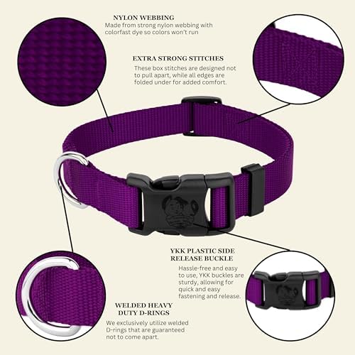 Country Brook Petz - Everyday Nylon Dog Collar for Large, Medium, and Small Dogs and Puppies - for Everyday Use in 30+ Colors (2XS, 3/8 Inch Wide, Purple)