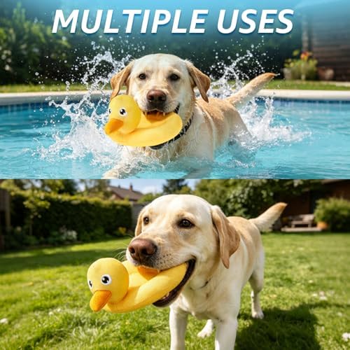 SCENEREAL Floating Dog Pool Toys for Water Fetch, 2 Pack Ducks & Turtles Squeaky Dog Toys for Training, Interactive Summer Outdoor, Cute Pet Chew Toys for Large Medium Small Dogs