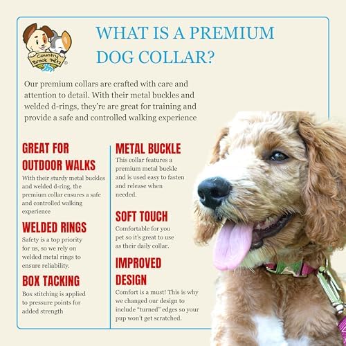 Country Brook Petz - Premium Nylon Dog Collar with Metal Buckle for Small Medium Large Breeds - 30+ Colors (Small, 3/4 Inch, Royal Blue)