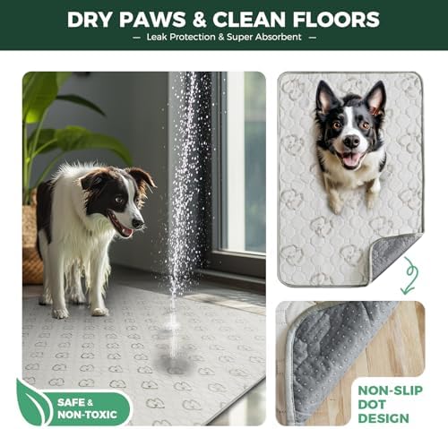 FXW Washable Pee Pads for Dogs, Super Absorbent, 39" Square, 2 Packs