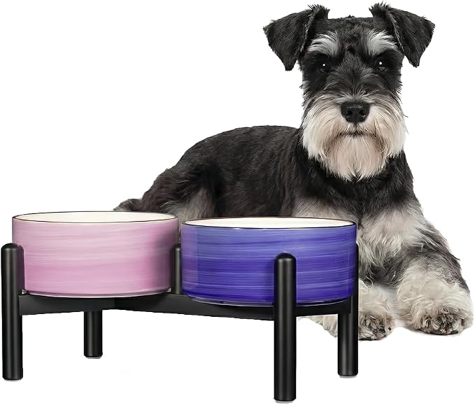 Ceramic Elevated Dog Bowl Set, 6.1''Raised Dog Food and Water Bowl Set with Non-Slip Stainless Steel Stand, Double Raised Dish for Small and Medium Breed, 3.5 Cups / 22 Fl Oz,Classic Pastels
