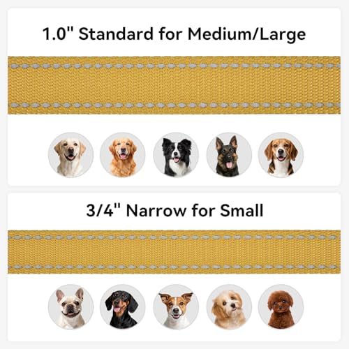 Joytale Reflective Dog Leash for Medium & Large Dogs, 5 FT x 1", Khaki