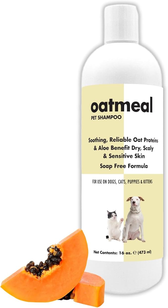 Itch Relief Oatmeal and Aloe Pet Shampoo 16 oz. for Dogs & Cats | Anti-Itch & Deodorizing Formula | Soothe and Moisturize Dry Itchy Sensitive Skin