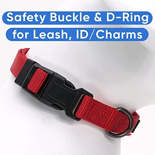 Pawtitas Dog Collar for Extra Small Dogs Adjustable Dog Collar Heavy Duty Waterproof Collars for Dogs with Quick-Release Buckle - Red Dog Collar for Extra Small Breeds
