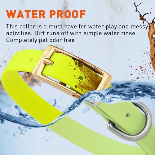 Viper Biothane Heavy Duty Waterproof Dog Collar Strong Coated Nylon Webbing w/Solid Brass Hardware Odor-Proof Easy to Clean High Performance Fits Small Medium or Large Dogs, Safety Yellow