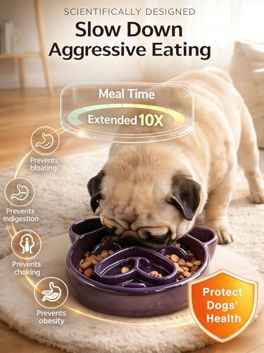 Dog Shape Slow Feeder Ceramic, 8.7in 1.5 Cups Pet Food Bowl for Medium and Big Breed. Bite-Resistant, Dishwasher Safe, Cute Design to Prevent Fast Eating, Bloat, Choking. Gift for Dog Lovers