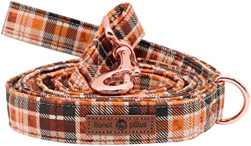 Lionet Paws Dog Leash Matching Dog Collar for Small Medium Large Dog