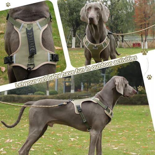 Dog Harness No Pull Adjustable Reflective,for Medium and Large Small Dog with Leash 59.06in (Khaki, S)