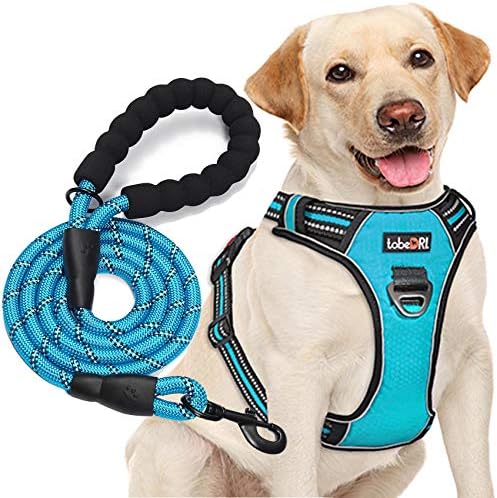 tobeDRI No Pull Dog Harness Adjustable Reflective Oxford Easy Control Medium Large Dog Harness with A Free Heavy Duty 5ft Dog Leash, Blue, S