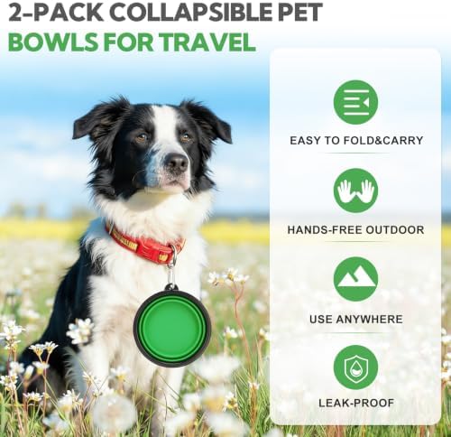 Collapsible Dog Bowl Large 34oz, Travel Dog Water Bowl Portable