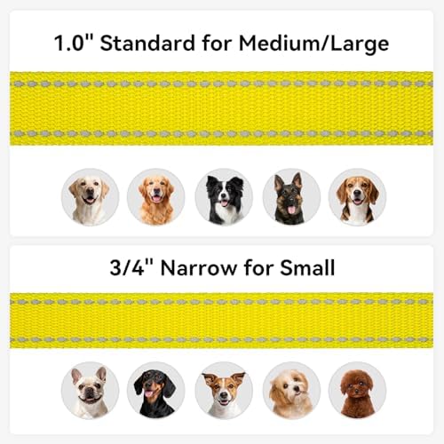 Joytale Reflective Dog Leash for Medium & Large Dogs, 5 FT x 1", Yellow