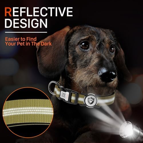 Waterproof AirTag Dog Collar with QR Code Dog Tag, Champagne S