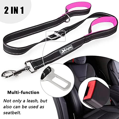 PoyPet 5 Feet Dog Leash with 2 Cushioned Handles (Pink)
