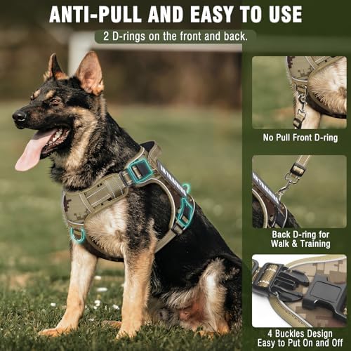 Tactical Dog Harness and Leash Set with 10 Patches for Large Dogs