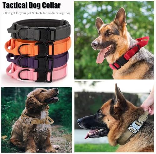 Tactical Dog Collar, Adjustable Military Training Nylon Pet Collar, Grey M