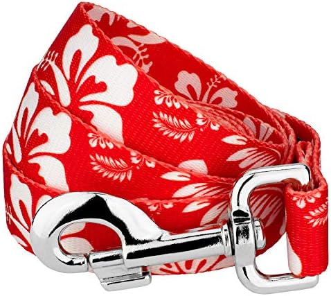 Country Brook Petz - Red Hawaiian Everyday Dog Leash - Summer Breeze Collection Featuring Sunny Designs (6 Foot, 5/8 Inch Wide)