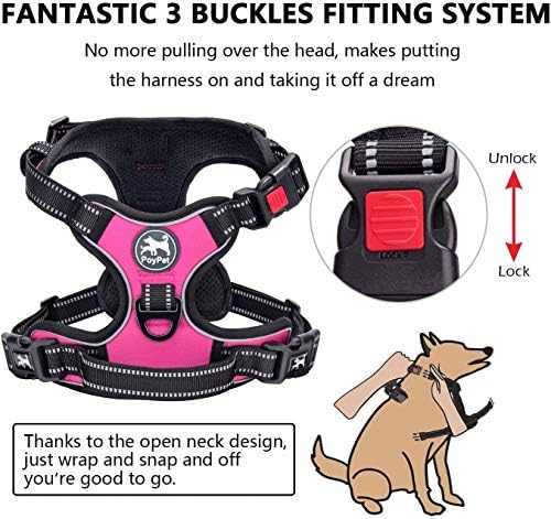 PoyPet Dog Harness and Leash Set, No Pull Vest with Front Clip and Handle