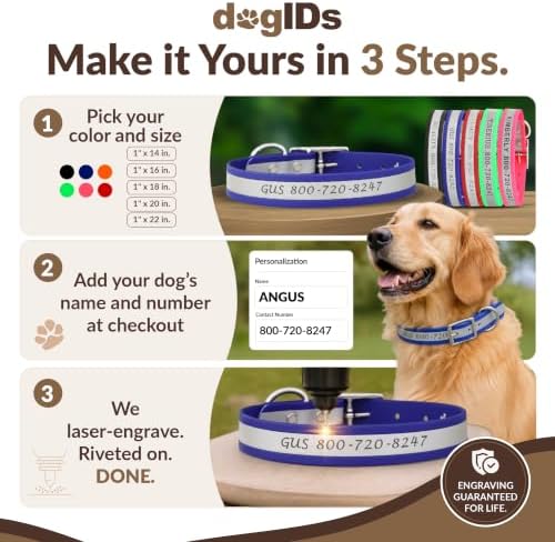 dogIDs Personalized Reflective Waterproof Dog Collar - Custom, Durable, Adjustable, Odor Resistant, Safe, Engraved - Blue, 1 in x 20 in (Fits Neck Sizes: 18-22 in)