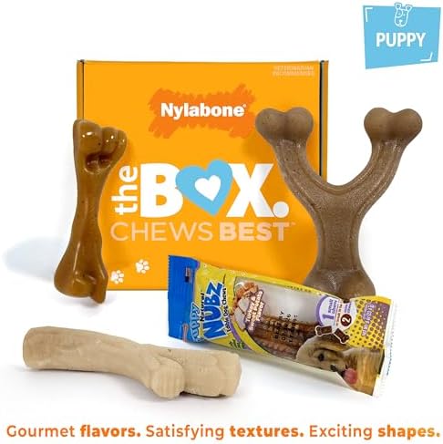 Nylabone Puppy Gift Box, Strong Chew Toys & Treat, Small, 4 Count