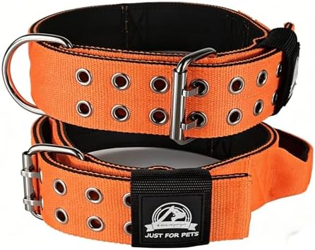 4-Layer Nylon Dog Collar,Heavy Duty for Large Dogs,Orange XL