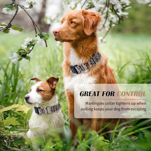 Hikiko Martingale Collar for Dogs with Special Pattern,Adjustable,M