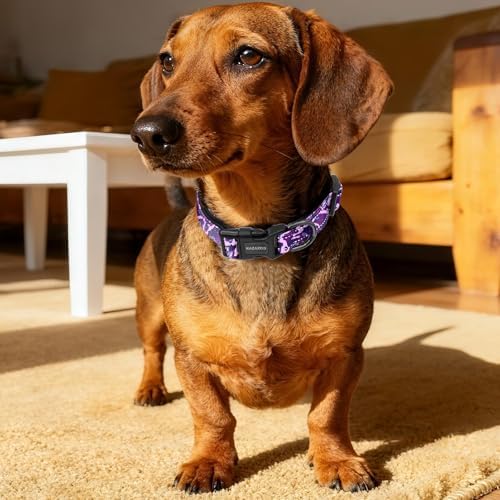 Kazazoo Small Dog Collar,Reflective Puppy Collar with Soft Padding Dog Collar No Pull,Lightweight, Nylon Collar for Puppies, Bichon Frisé, Papillon & Poodle Dogs 5-15 Lbs Purple camo-S