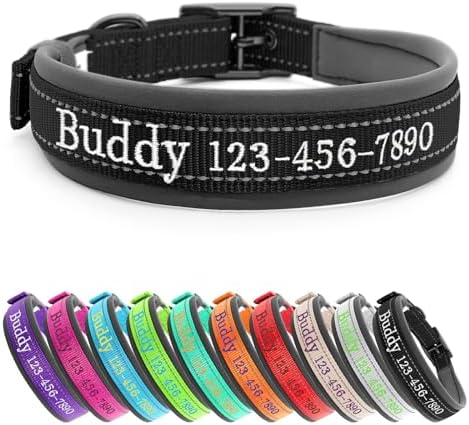 Personalized Nylon Dog Collar with Embroidered Name & Number