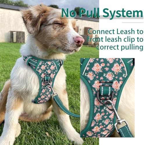 HEELE Dog Harness, Reflective, No Pull No Choke, Flower Grass Green, XL