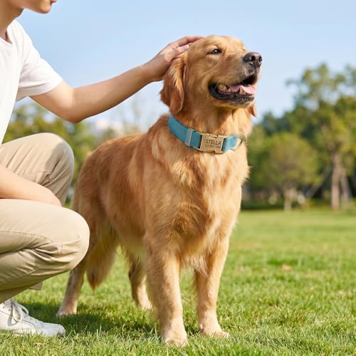 Custom Dog Collar with Name and Phone Number