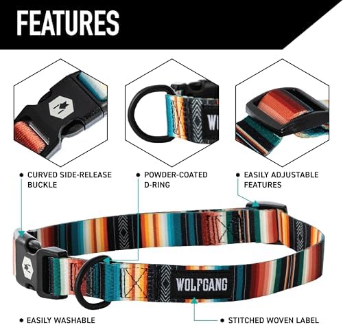 Wolfgang Heavy Duty, Adjustable Dog Collar with Quick Release Nylon Buckle for Walking & Training, LostArt Print, Medium