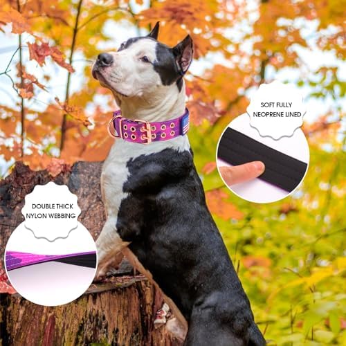 Heavy Duty Dog Collar for Medium Large Dogs,Purple Camo,Medium