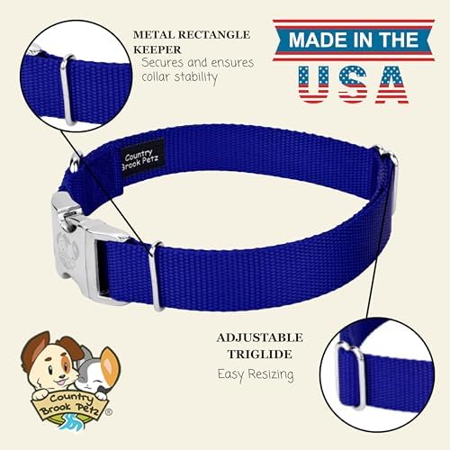 Country Brook Petz - Premium Nylon Dog Collar with Metal Buckle for Small Medium Large Breeds - 30+ Colors (Extra Large, 1 Inch, Bright Royal Blue)
