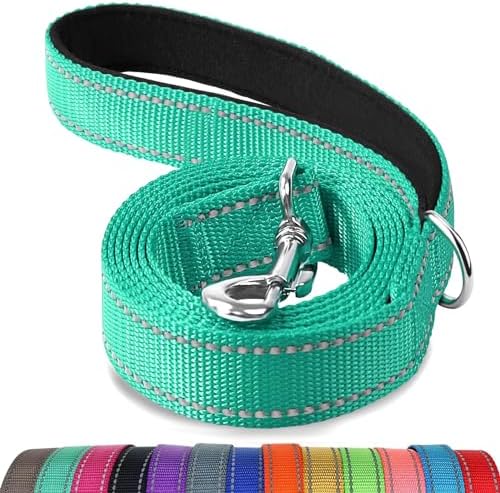 Joytale Reflective Dog Leash for Small Dogs, 5 FT x 3/4", Turquoise