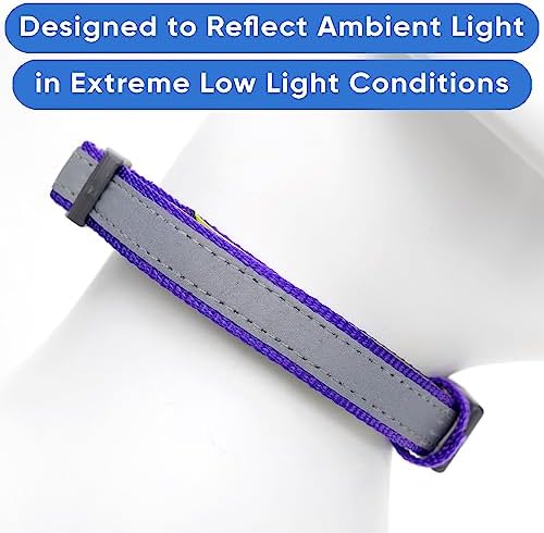 Pawtitas Personalized Dog Collar Reflective Dog Collar Padded Dog Collar with Name Phone Number Puppy Collar Adjustable Customized Collar for Large Dogs Breeds | Customized Purple Large Dog Collar