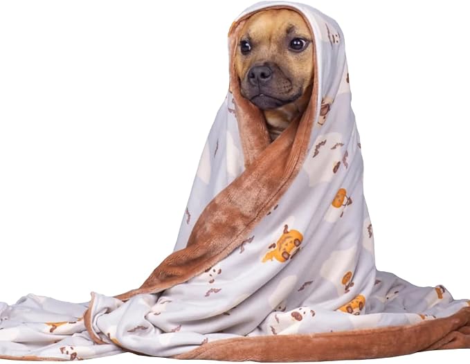 Darren & Phillip Howl-O-Ween Blanket - Ultra-Soft Blankets Made with Plush Fleece - Perfect as a Dog Bed Blanket or for Cuddling with Your Pup - Ultra-Snuggly Blankets for Dogs & Humans