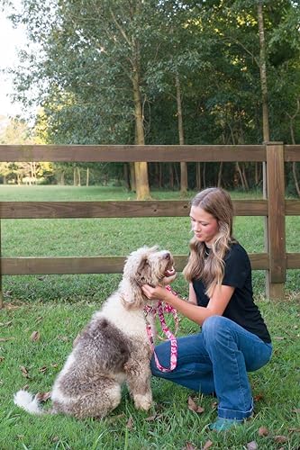 Country Brook Petz - Pink Hawaiian Everyday Dog Leash - Summer Breeze Collection Featuring Sunny Designs (6 Foot, 1/2 Inch Wide)