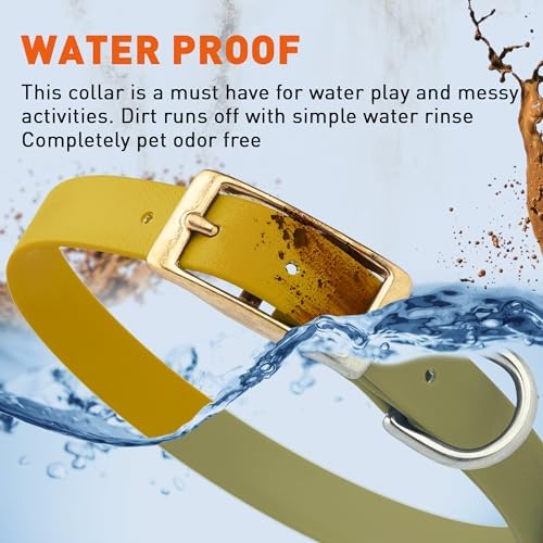 Viper Biothane Heavy Duty Waterproof Dog Collar Strong Coated Nylon Webbing w/Solid Brass Hardware Odor-Proof for Easy Care to Clean High Performance Fits Small Medium or Large Dogs, Treasure Gold