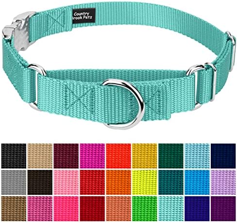 Country Brook Petz - Martingale Dog Collar - Heavy Duty Nylon Adjustable Martingale Dog Collar with Metal Buckle for Small Medium Large Breeds 30+ Color Options (5/8 Inch, Extra Small, Light Cyan)