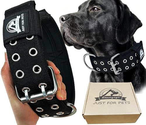 4-Layer Nylon Dog Collar,Heavy Duty for Large Dogs,Black L