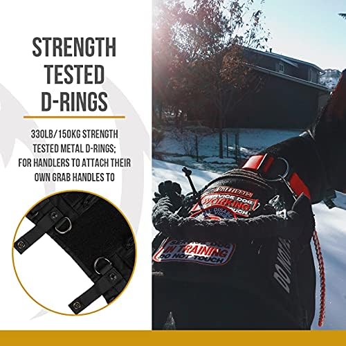 OneTigris Service Dog Harness No-Pull Dog Harness Adjustable Comfort Pet Dog Vest Harness for Outdoor Walking Medium Black