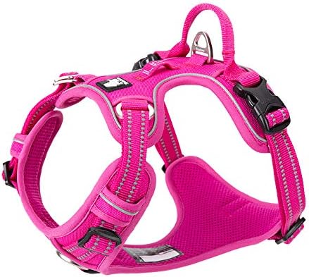 WINHYEPET True Love No Pull Dog Harness Extra Reflective Pet Harness for Small Medium Large Dogs Adjustbale for Running Walking Padded Soft Mesh Vest Easy Control TLH56512(Fushcia,XL)
