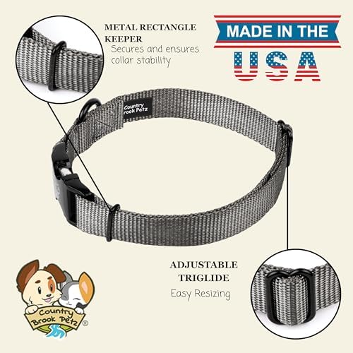 Country Brook Petz - Premium Nylon Dog Collar with Metal Buckle for Small Medium Large Breeds - 30+ Colors (Small, 3/4 Inch, Charcoal)