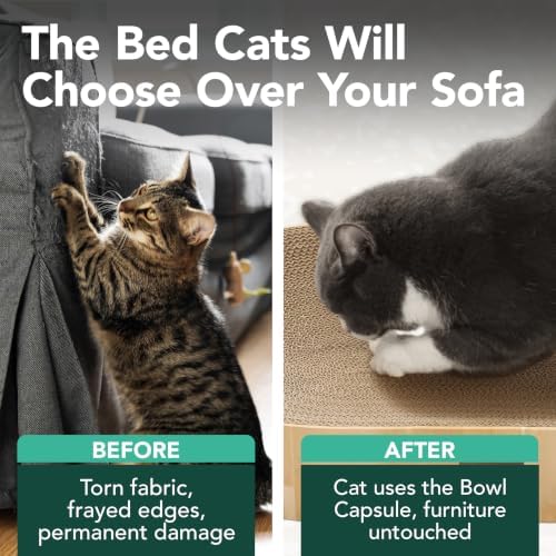 Necoichi Cat Scratcher Bowl Capsule for Indoor Cats - Cat Scratching Lounger with Reversible Usability and Extra Comfort for Lounge, Cardboard Bed Couch